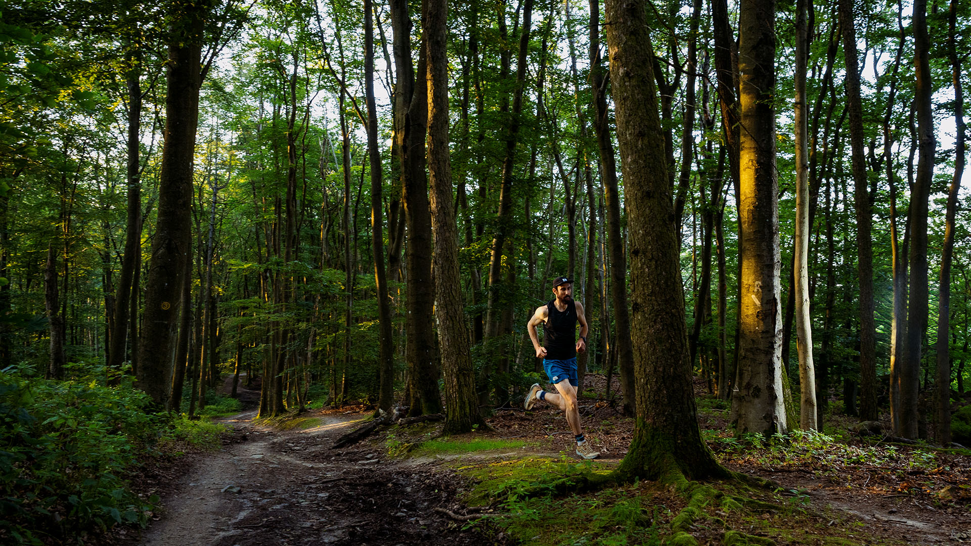 Jan Regenfuss beim Trailrunning im Abendlicht – sportlich, fokussiert und inmitten der Natur.