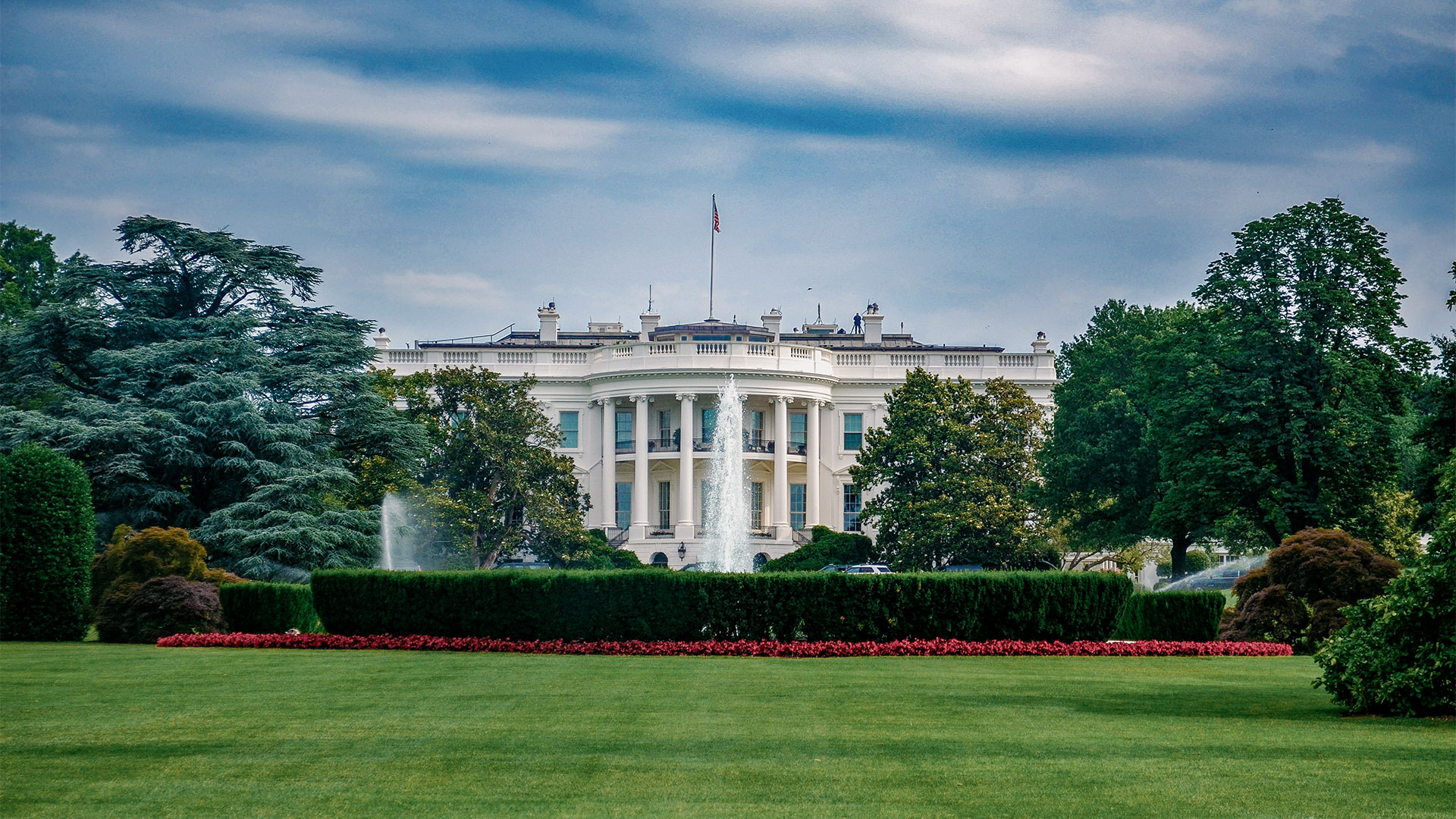 West Wing, East Wing, Chicken Wing: Warum Empörung kein Aktivismus ist