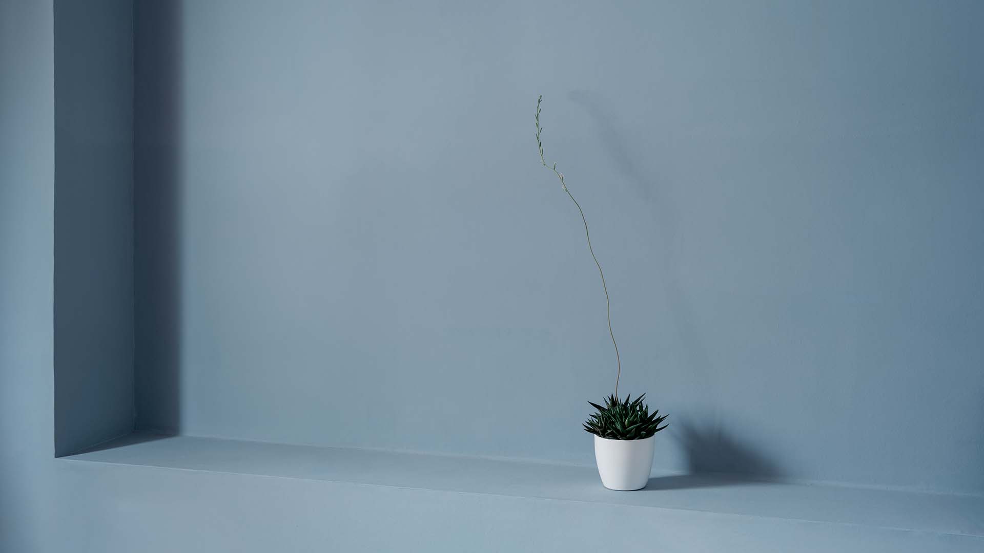 Optimismus: Der Durchbruch für ein längeres und gesünderes Leben?