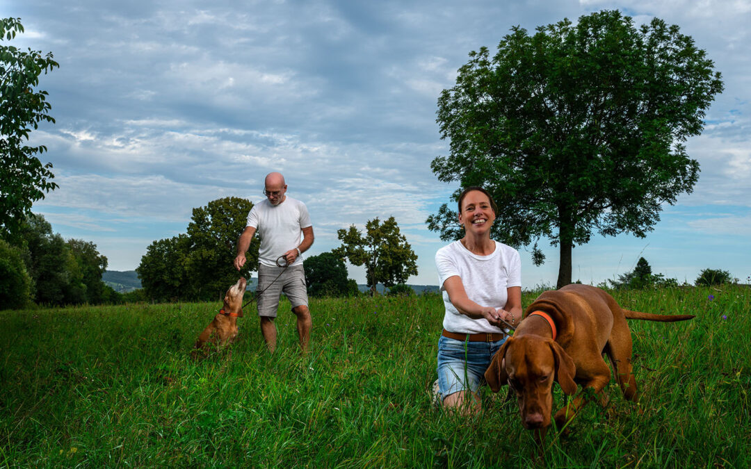 Neue Arbeitswelten gestalten: Wie i.s.design Unternehmenskultur und New Work durch Raumkonzepte verändert