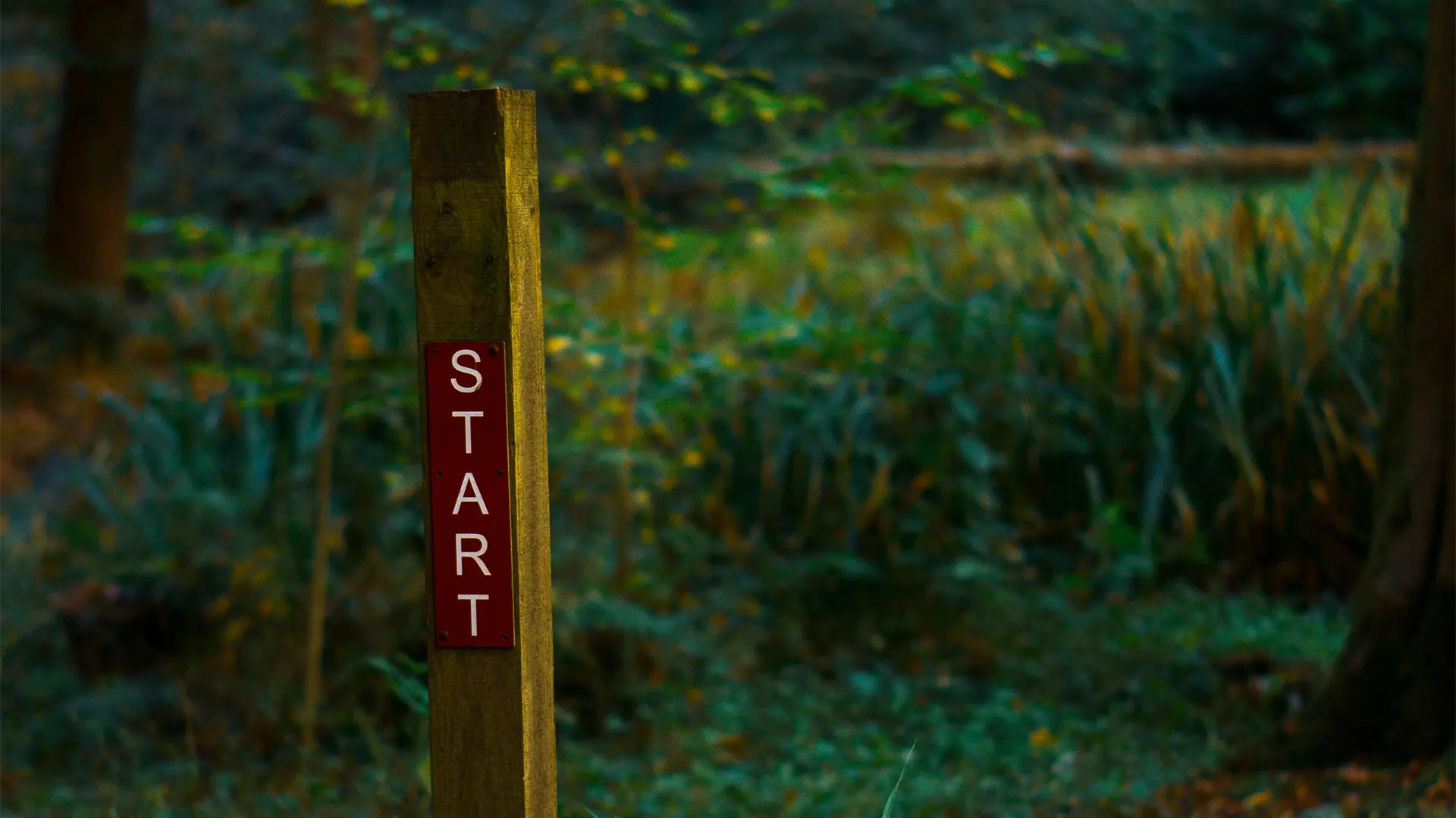 subzeroes EDU Update 2026-02-06: Feststellung der Gemeinnützigkeit