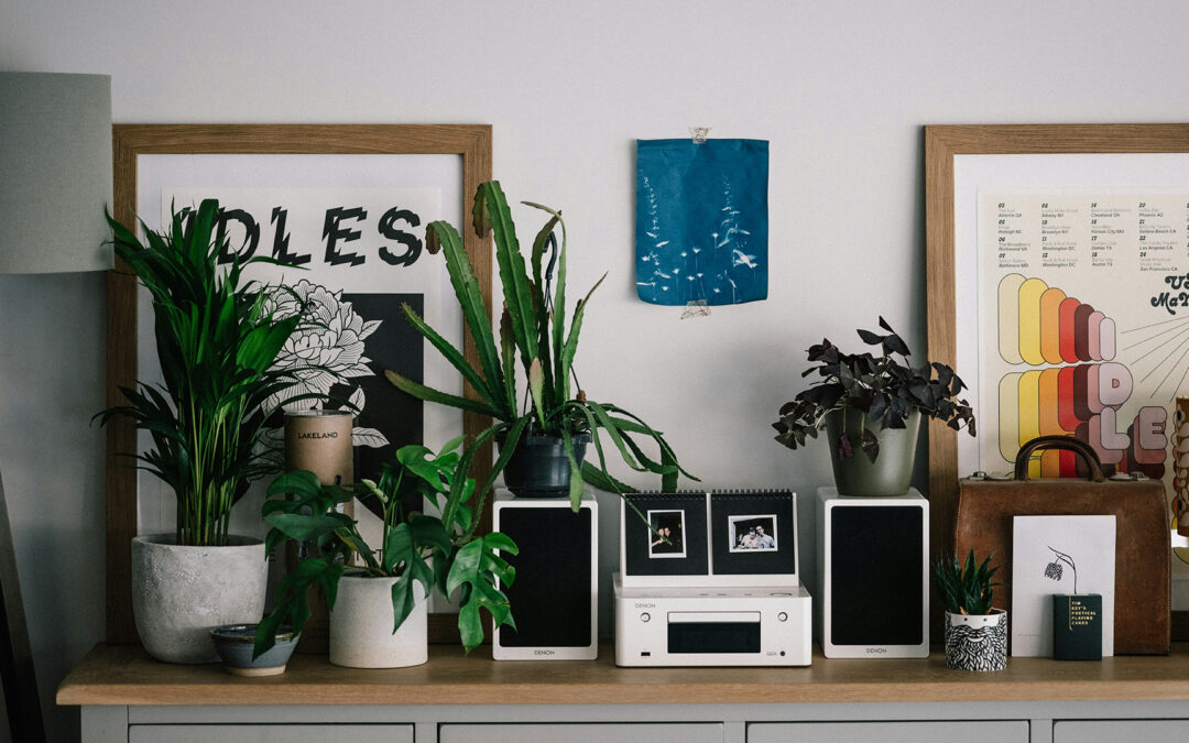 Band der Woche: Idles – Schweiß, Chaos, Katharsis