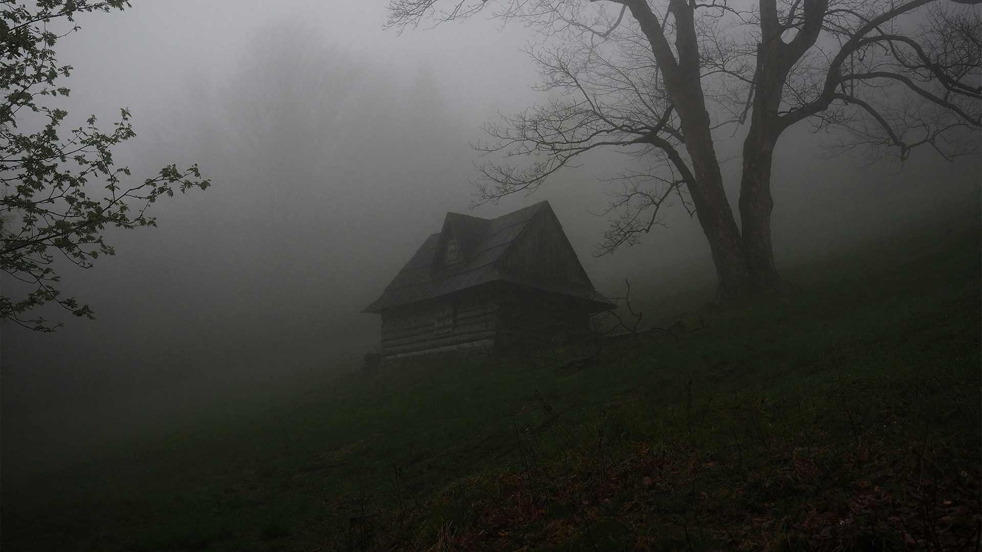 Buch der Woche: ’Salem’s Lot – Brennen muss Salem von Stephen King